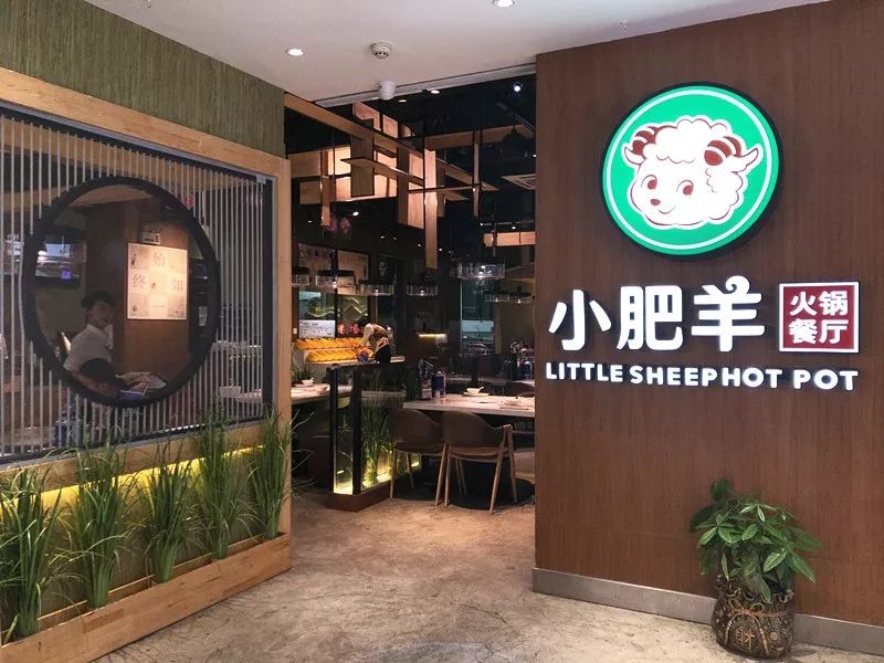 迷途的小肥羊還能回歸嗎？(圖8)